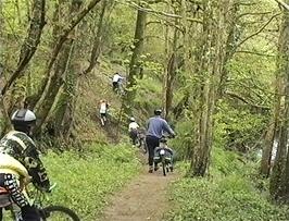 The final climb through the woods, taking us back to Gara Bridge